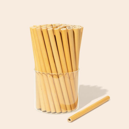 10 Organic Bamboo Straws & Coconut Fiber Straw Cleaner